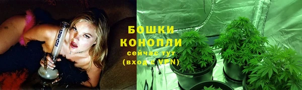 кокс Бородино