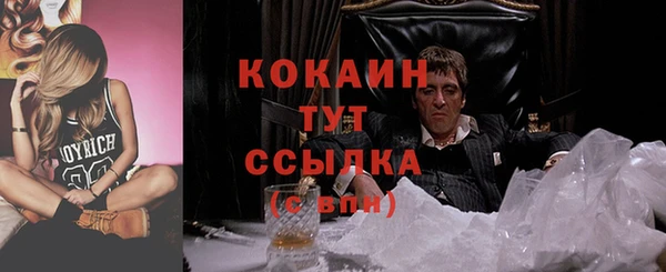 кокс Бородино