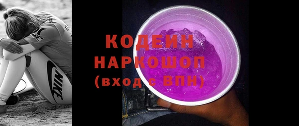 дживик Бронницы