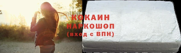 дживик Бронницы