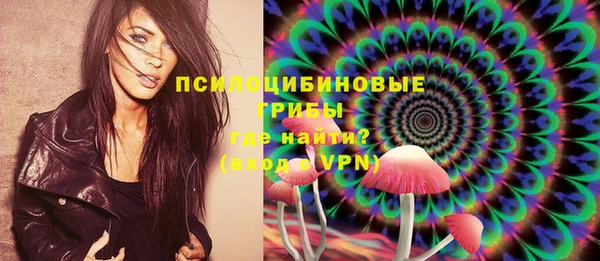 стаф Бугульма