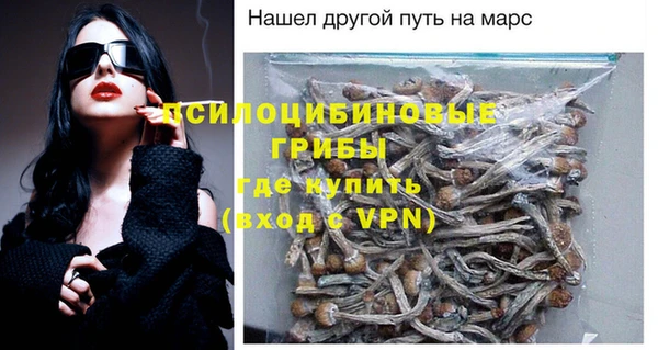 дживик Бронницы