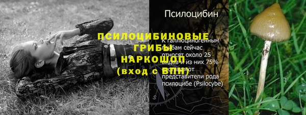 дживик Бронницы