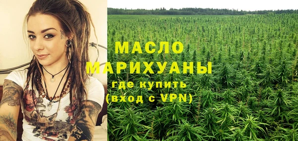 дживик Бронницы