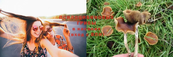 стаф Бугульма