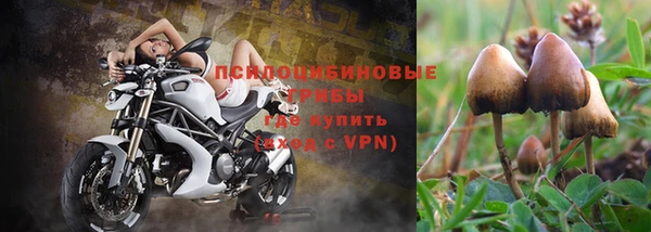 дживик Бронницы