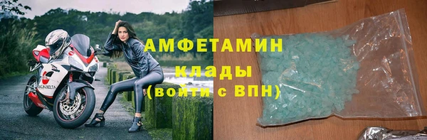 дживик Бронницы