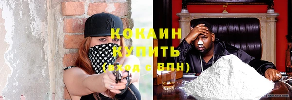 дживик Бронницы