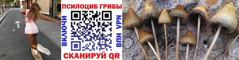 купить наркотики цена  Одинцово  Галлюциногенные грибы ЛСД 
